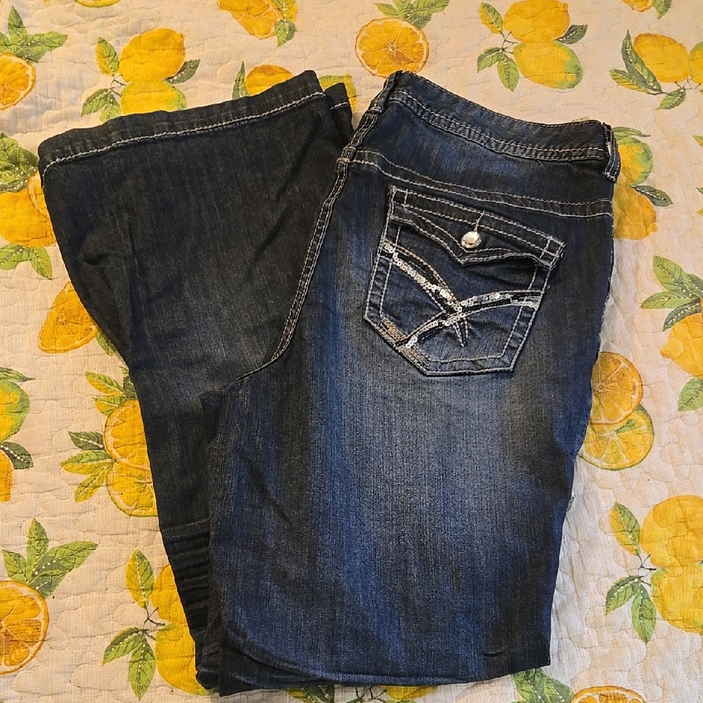 Lane Byrant Sequined Blue Jeans